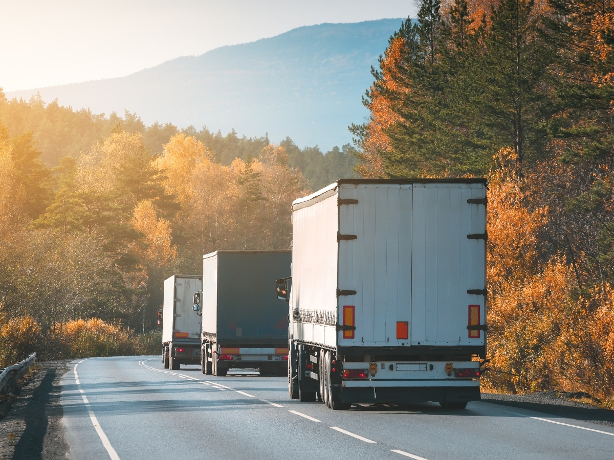 cross boarder freight (1)