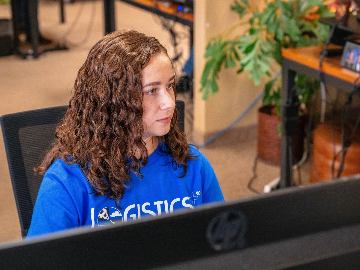 risk free supply chain analysis image